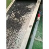 pp塑料造粒挤出机_pp塑料造粒挤出机_BBJD