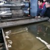 沥青改性片材挤出机_沥青改性片材挤出机_佳德