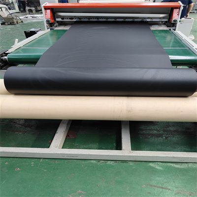 150单螺杆内饰隔音毡生产线照片.jpg26