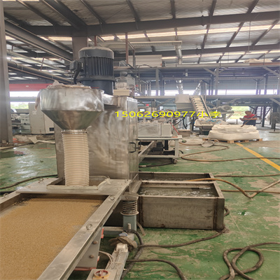 双螺杆水冲造粒机PET专用设备1