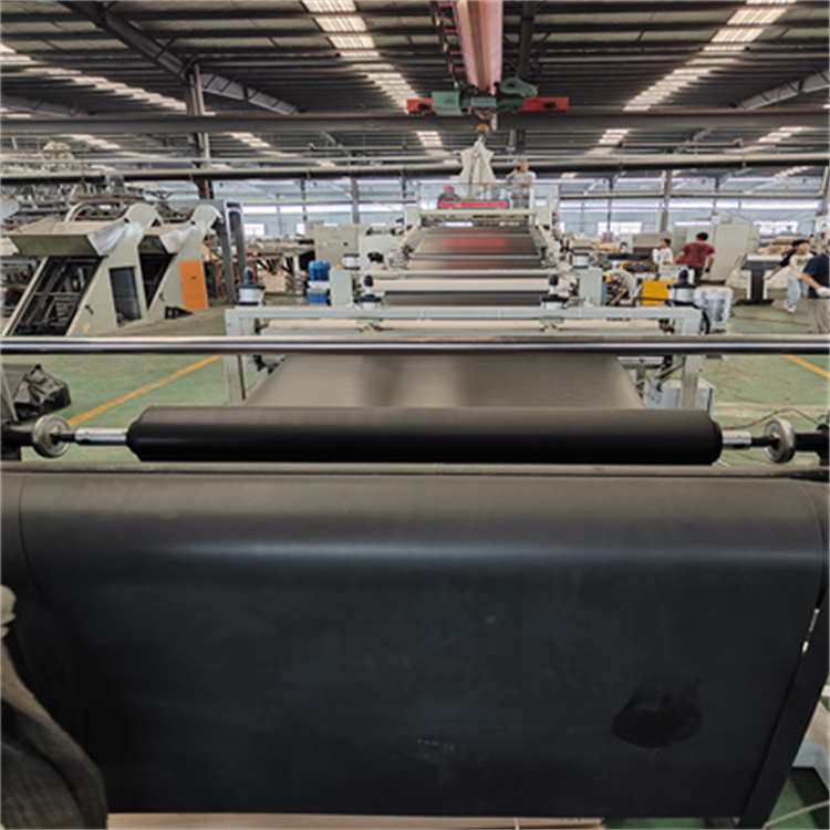 TPET片材生产线.jpg33.jpg1233