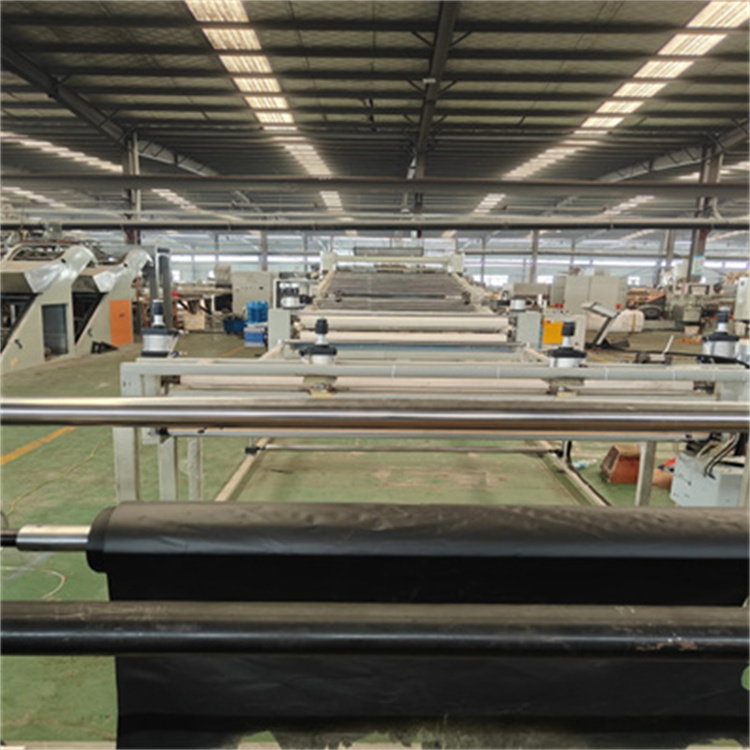 TPET片材生产线8547897_副本