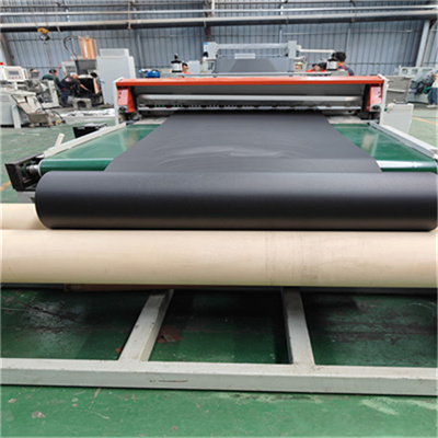 150单螺杆内饰隔音毡生产线照片.jpg28