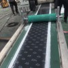 丁基胶片材生产线—实力工厂—蚌埠佳德